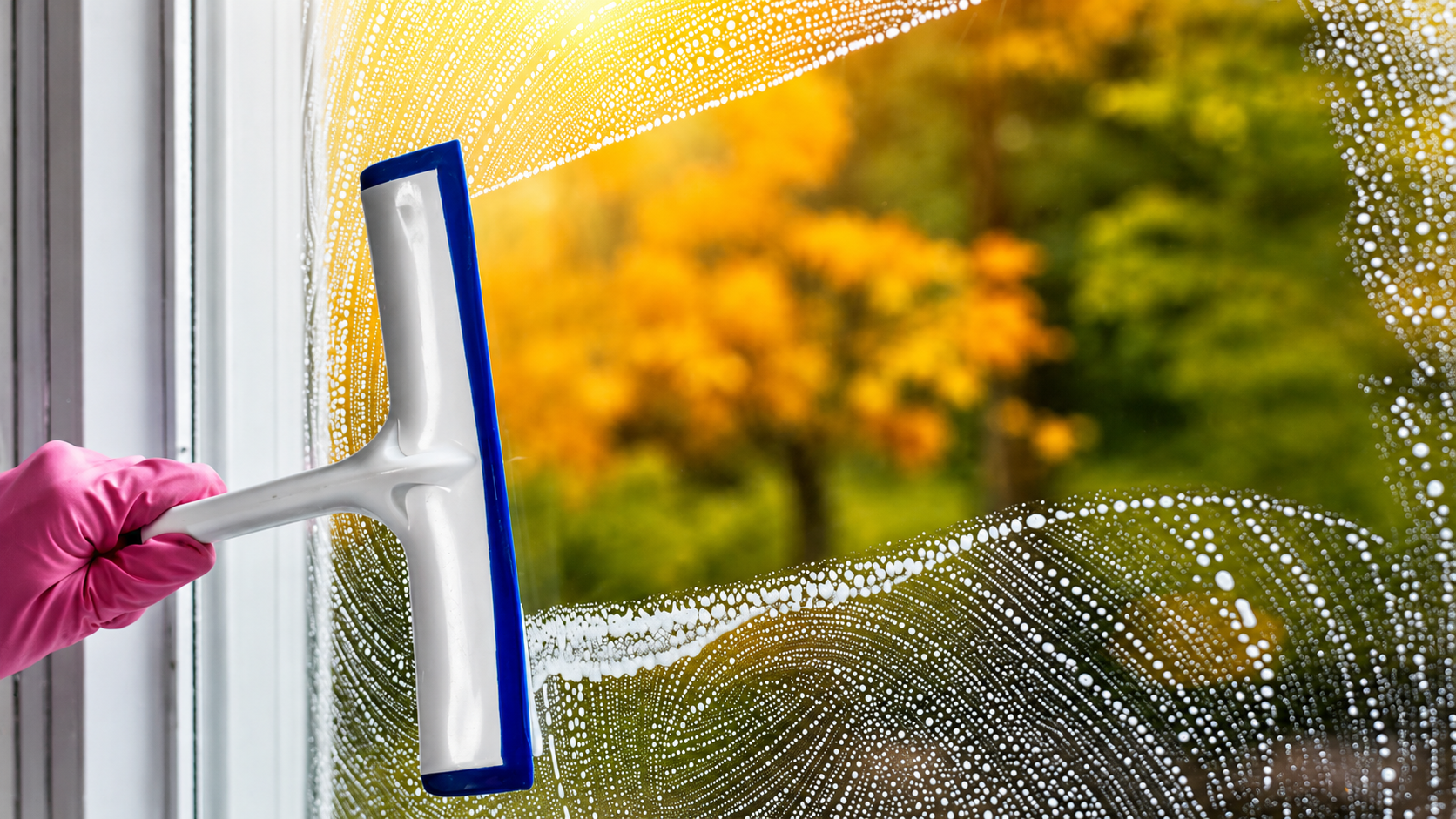 Window & glass cleaning